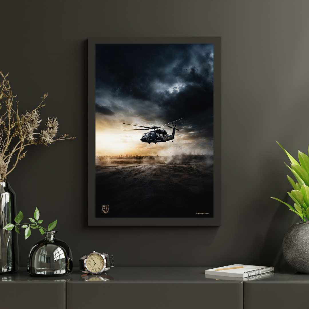 Poster Black Hawk landet